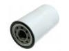 Oil Filter:F4TZ 6731 A